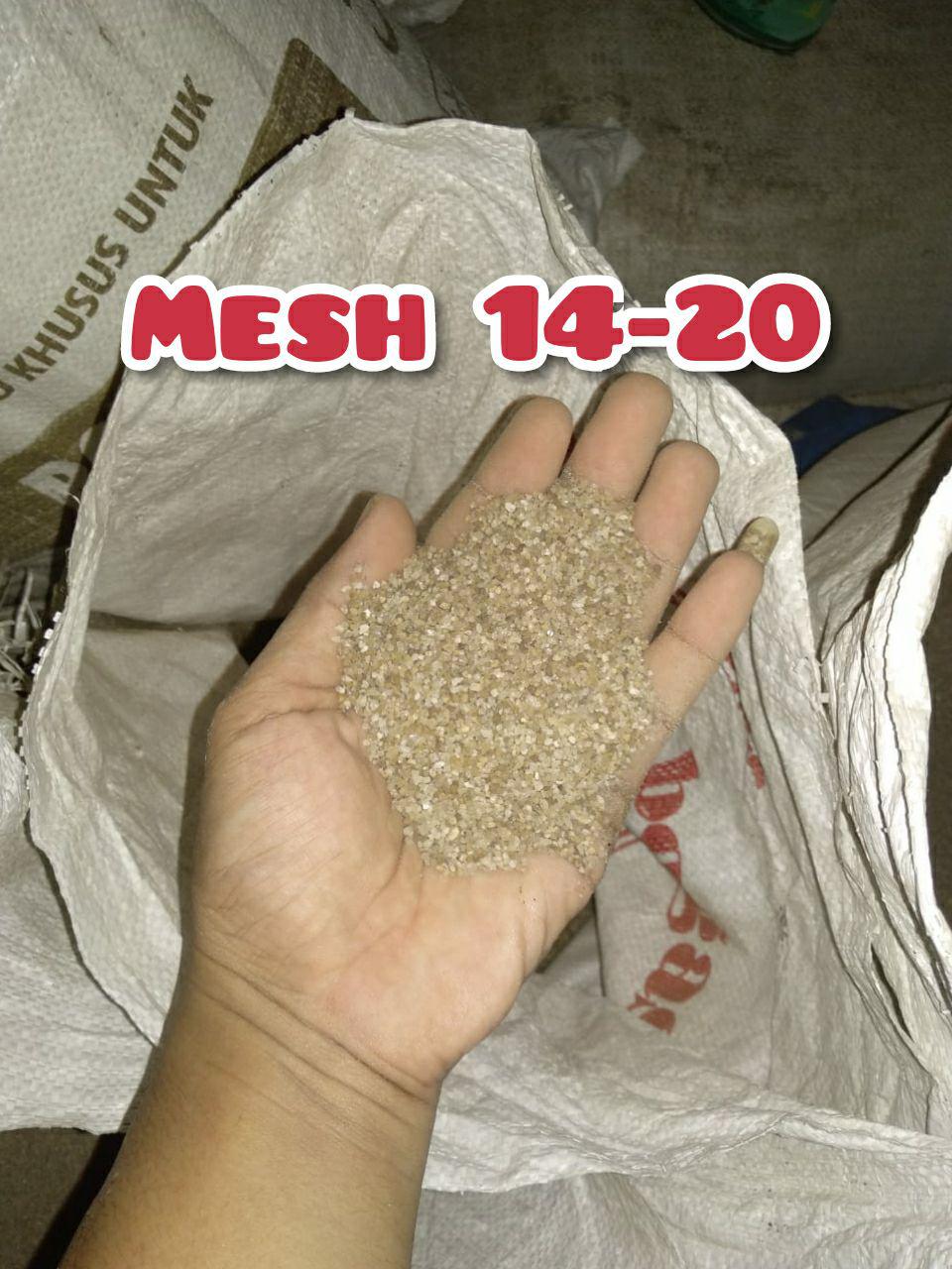 zo-th-1